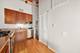 1727 S Indiana Unit 223, Chicago, IL 60616