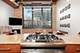 1727 S Indiana Unit 223, Chicago, IL 60616