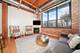 1727 S Indiana Unit 223, Chicago, IL 60616