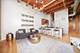 1727 S Indiana Unit 223, Chicago, IL 60616