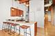 1727 S Indiana Unit 223, Chicago, IL 60616