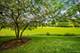 289 Birch Unit 289, St. Charles, IL 60175