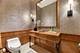 189 E Lake Shore Unit PH18, Chicago, IL 60611