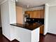 655 W Irving Park Unit 3916, Chicago, IL 60613