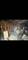 6729 31st, Berwyn, IL 60402
