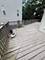 494 Rosewood, Carpentersville, IL 60110