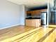 3505 S Morgan Unit 411, Chicago, IL 60609