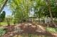 17304 Buck, Orland Park, IL 60467