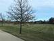 14916 W Concord, Wadsworth, IL 60083
