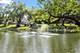 8459 Edelweiss, Palos Park, IL 60464