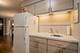 420 W Aldine Unit 306, Chicago, IL 60657