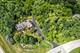4N494 Hidden Oaks, St. Charles, IL 60175