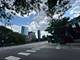 311 N Union Unit B, Chicago, IL 60661