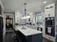 13015 Rockfish, Plainfield, IL 60585