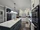 13015 Rockfish, Plainfield, IL 60585