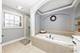 13015 Rockfish, Plainfield, IL 60585