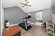 13015 Rockfish, Plainfield, IL 60585