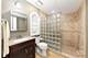 13015 Rockfish, Plainfield, IL 60585