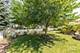 13015 Rockfish, Plainfield, IL 60585