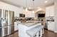 1128 Evergreen, Des Plaines, IL 60016