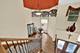 13151 S Lake Mary, Plainfield, IL 60585