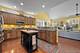 3880 Kingsmill, Elgin, IL 60124