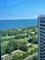 4250 N Marine Unit 2925, Chicago, IL 60613