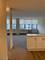 4250 N Marine Unit 2925, Chicago, IL 60613