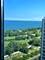 4250 N Marine Unit 2925, Chicago, IL 60613