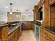 3804 Horizon, Naperville, IL 60564