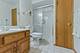 94 Doolin, Lemont, IL 60439