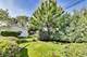 1632 S Vine, Park Ridge, IL 60068