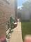 3134 N Normandy, Chicago, IL 60634