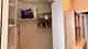 1600 S Indiana Unit 1208, Chicago, IL 60616