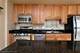 1250 S Indiana Unit 508, Chicago, IL 60605