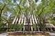 100 E Bellevue Unit 24E, Chicago, IL 60611