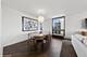 100 E Bellevue Unit 24E, Chicago, IL 60611