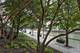 501 N Clinton Unit 2007, Chicago, IL 60654