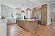 1705 S Prospect, Park Ridge, IL 60068