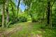 37W817 Pine Needles, Batavia, IL 60510