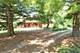 37W817 Pine Needles, Batavia, IL 60510
