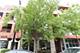 1724 W Belmont Unit 4, Chicago, IL 60657