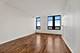 1255 S State Unit 1704, Chicago, IL 60605