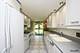 620 S York Unit 101, Bensenville, IL 60106
