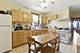 4224 W Kamerling, Chicago, IL 60651