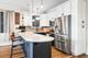 2029 W Rice Unit 1, Chicago, IL 60622