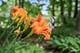 21 W Timberlake, Oswego, IL 60543