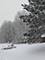 21 W Timberlake, Oswego, IL 60543