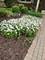 21 W Timberlake, Oswego, IL 60543
