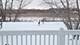 12255 Wildflower, Huntley, IL 60142